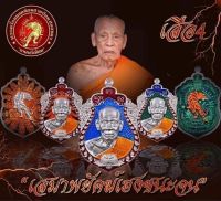 เสือ4 เสมาพยัคฆ์ชนะจน หลวงพ่อพัฒน์ ลุ้นเนื้อ พระแท้100%