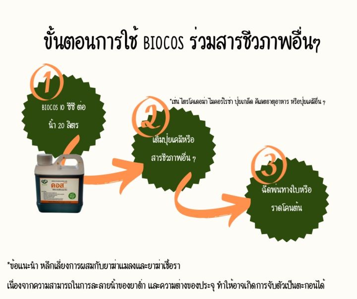 ไบโอคอส-ไคโตซานโอลิโกแซคคาไรด์-cos-gt-gt-gt-สารชีวภาพ-เร่งราก-กระชากใบ-ป้องกันโรค