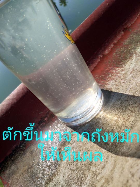 จุลินทรีย์บาซิลลัส-บาซิลลัสซับทิลิส-bacillus-megaterium-bacillus-licheniformis-บำบัดน้ำเสีย-ลดสารอินทรีย์-ไม่แนะนำใช้แก้ไขปัญหาขี้ขาว