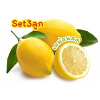 พร้อมส่ง‼️ เซ็ต3ลูก เลม่อนสดๆ เกรดพรีเมี่ยม lemon  เปรี้ยวจี๊ดถึงใจ