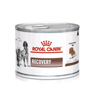 Royal Canin  Recovery อาหารสำหรับสุนัขและแมวป่วยระยะพักฟื้น