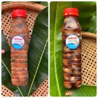 อร่อยเด็ดแพ๊คคู่ #หอยดอง 1 ขวด(450g)คู่กับ #หอยแครงดอง 1 ขวด(500g) ของแม่กลองขนานแท้ คนชอบหอยต้องลอง #PornsikarnPla2