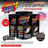 อาหารปลาทอง : PowerUp⚡สูตรใหม่ เร่งโตX3 โปรตีน 55% ขนาด 1000กรัม