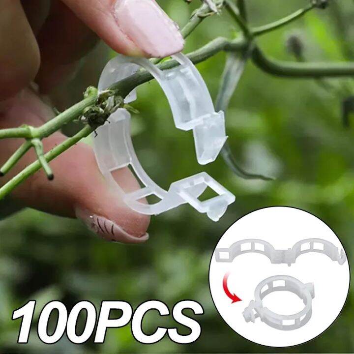 Plastic Plant Support Clips Reusable Vegetable Tomato Vines Protection ...