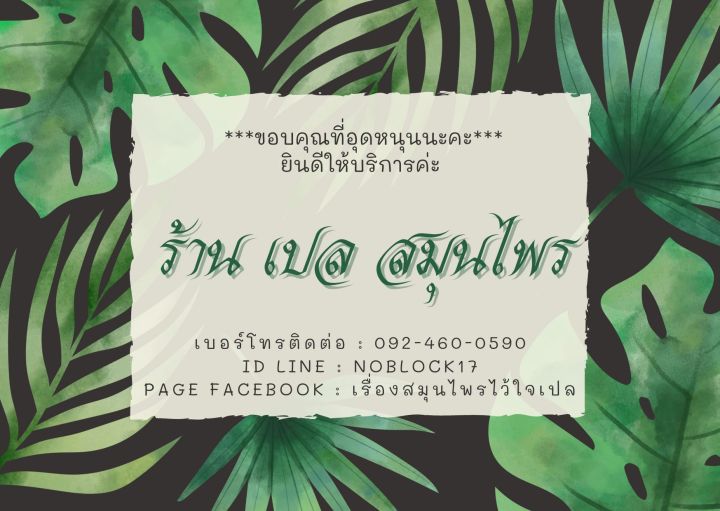 ยาต้มลดไขมันสูตรพิเศษ-by-หญิงเกศ-สมุนไพรสุรางค์