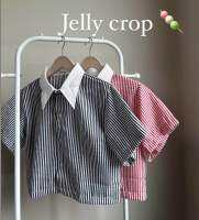 - Jelly crop - เสื้อเชิ้ตปกขาวผ้าเทกเจอร์