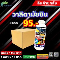 ยกลัง 12 ลิตร วากันด้า 1 ลิตร ? สาร วาลิดา วาลิดามัยซิน กาบใบแห้ง ใบไหม้ ใบติด ทุเรียน