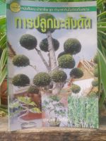 หนังสือแนะนำอาชีพ ชุด ทำมาหากินในท้องถิ่นสยาม การปลูกมะสังดัด