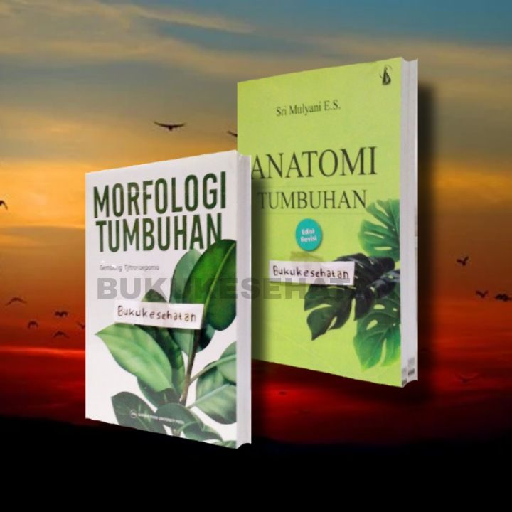 Buku Morfologi Tumbuhan Dan Flora Lazada Indonesia