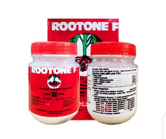 Perangsang Akar Tanaman Root F 100g Lazada Indonesia