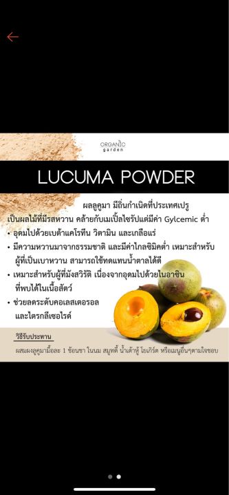 ลูคูม่า-lucuma-ผลไม้ตามหา-ผลไม้มากประโยชน์-เพาะเมล็ด-ขนาด-30-40-ซม