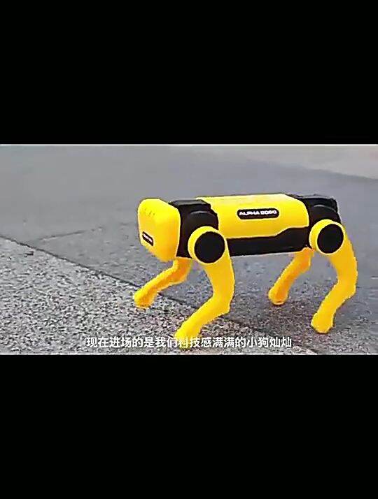Solar Electric Mechanical Dog Toys For Kids Assemble Educational Toy
