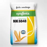 เมล็ดพันธุ์ข้าวโพด NK 6848 ขนาด 10 กก. เอ็นเค 6848 ทนแล้ง 3.5 หุน