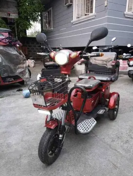 tailg e bike 3 wheel price list