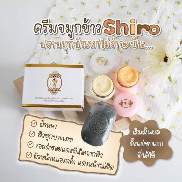 shiro-cream