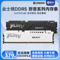 Kingston DDR5 5200 5600 6000 16G/32G เสื้อกั๊กลายสัตว์คอมพิวเตอร์เดสก์ท็อปลายเทพ