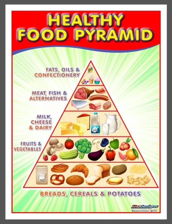 EDUCATIONAL POSTER TARPAULIN FOOD PYRAMID 45X60CM | Lazada PH