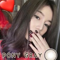 Pony / pola gray ลายฉ่ำหวาน ตาโต ลายขายดี สีเทา14.5