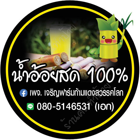 เครื่องดื่มน้ำอ้อยคั้นสด-100-อินทรีย์อ้อยอินทรีย์ปลอดสารพิษ-ชุดละ-13-ขวด-บรรจุขวด-220-ml