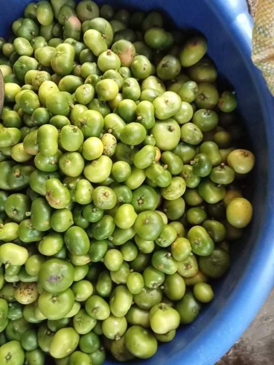 Batuan Fruit Lazada PH