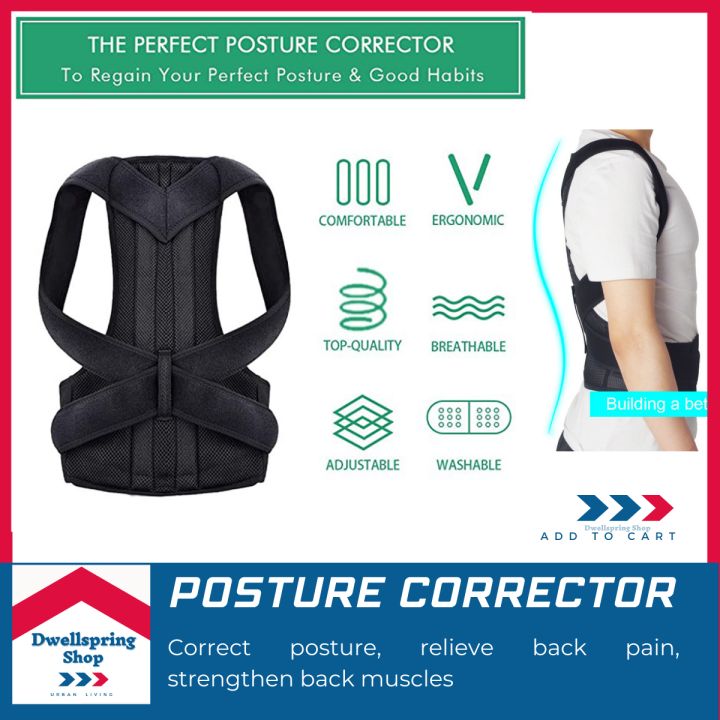 DWELLSPRING adjustable posture corrector for men, lumbar, spinal, back ...