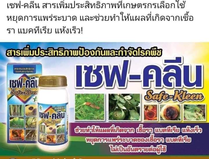 ขายดี-ชุดกำจัดและป้องกัน-เชื้อราลงดอก-ใบเน่า-ราหนวดแมว-ใบเน่าดำ-เกิดจากเชื้อราแบคทีเรีย