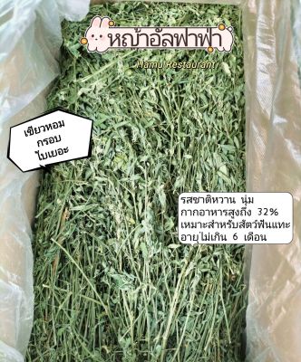 Hamu ♥️ หญ้าอัลฟาฟ่าเกรดพรีเมียม คัดใบ ขนาด 1 กก เขียวหอม กรอบ ใบเยอะ สำหรับกระต่าย แพรี่ ชินชิล่า แกสบี้