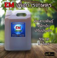 EM Green จุลินทรีย์คัดสายพันธุ์สำหรับงานเกษตรโดยตรง ประสิทธิภาพสูง ทำปุ๋ยหมัก รดต้นไม้ ปรับปรุงดิน  EM อีเอ็ม  ปุ๋ยน้ำ  น้ำหมัก