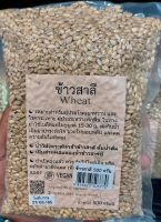 ข้าวสาลี (Wheat) 500 กรัม