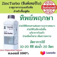 ธาตุอาหารรอง ธาตุอาหารเสริม ซิ้งค์เทอร์โบ  ZincTurbo ปุ๋ยคีเลตน้ำ