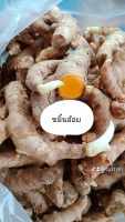 ขมิ้นอ้อยสด 1กิโลกรัม