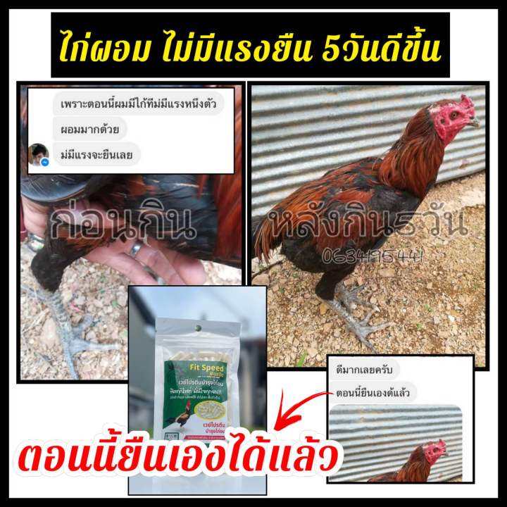 ฟิตสปีดเวย์โปรตีนบำรุงไก่ชน