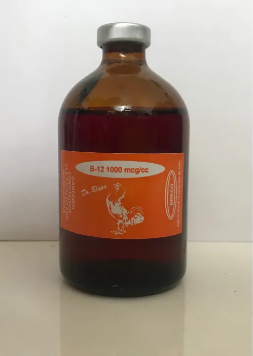 Dr. Blues B12 1000 mcg 100ml Lazada PH