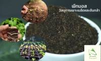 ?พีทมอส (PEAT MOSS) วัสดุเพาะต้นกล้า