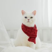 Cozy Scarf (สำหรับน้องหมาน้องเเมว)