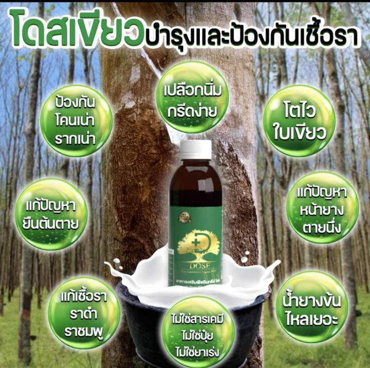 dose-อาหารเสริมพืช-สินค้าเกษตรพรีเมี่ยม-น้ำยางดี-ผลผลิตดี-แก้หน้ายางตายนึ่ง-แก้เชื้อรา