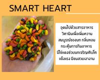 ผลไม้อัดเม็ด smart heart CP อาหารว่างสำหรับนก หนู ชูก้าไรเดอร์ สัตว์ฟันแทะ อาหารนก *** แบ่งบรรจุ ?พร้อมส่ง?