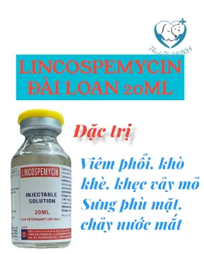 Khi nào cần sử dụng thuốc trị gà sổ mũi?
