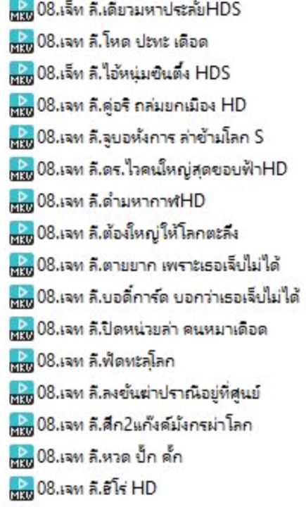 08-usb-หนังเจทลีชุดที่2-ชุดโกอินเตอร์15เรื่องพากย์ไทย