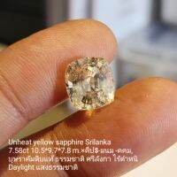 บุษราคัมแท้ ศรีลังกา ไม่เผา ดิบธรรมชาติ 7.58 ct ?% Unheat Natural yellow sapphire Srilanka ?