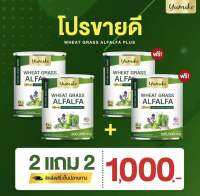 ? 2 แถม 2 ? ส่งฟรี ‼️ ยูมิโกะ วีทกราส อัลฟาฟ่า คลอโรฟิลล์ ไฟเบอร์ ดีท็อก ลำไส้ สารพิษ ปริมาณ 200 กรัม Wheatgrass Alfalfa yumiko 200 g