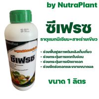 NutraPlant ซีเฟรซ แมกนีเซียม+สาหร่ายเขียว ชนิดน้ำ ขนาด 1 ลิตร