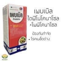 เพบเบิล ไดฟิโนโคนาโซล+โพพิโคนาโซล (500 มิลลิลิตร) โรคเชื้อรา โรคเมล็ดด่าง อามูเร่ ออติวา