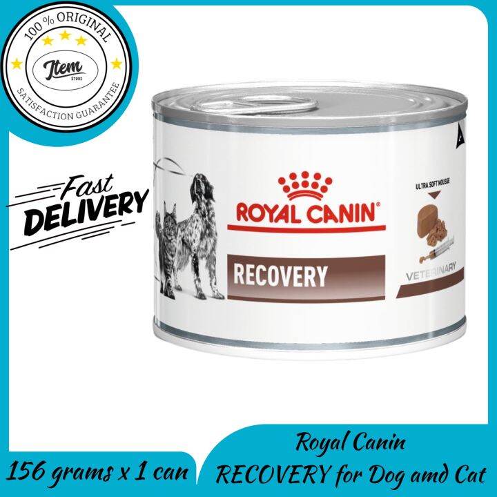 royal canin recovery canine feline