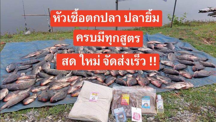 หัวเชื้อตกปลา-ปลายิ้ม-มีให้เลือกครบทุกสูตร-สดใหม่-จัดส่งเร็ว-เหมาะสำหรับตกปลาทุกชนิด-มีสินค้าให้เลือกมากมาย