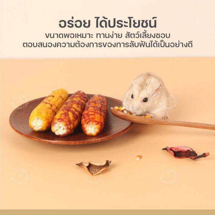 morumaru-มินิข้าวโพด-ข้าวโพดจิ๋ว-ขนมลับฟัน-สำหรับแฮมเตอร์-กระรอก-กระต่าย