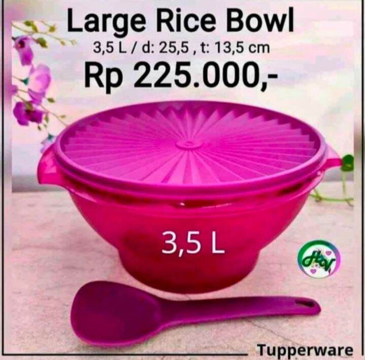 Large Rice Bowl Tupperware Murah Lazada Indonesia