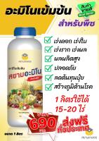 สยามอะมิโน อะมิโนพืช อาหารเสริมพืชทางใบ หัวเชื้ออะมิโน ขนาด 1 ลิตร ส่งฟรีเก็บเงินปลายทาง