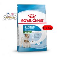 Royal Canin Mini Starter Mother &amp; Baby Dog (อาหารสำหรับแม่และลูกสุนัขพันธุ์เล็ก) 8.5 kg