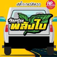 พลังใบ สติ๊กเกอร์พลังใบ วัยรุ่นพลังใบสายเขียว วัสดุสติ๊กเกอร์สะท้อนแสง